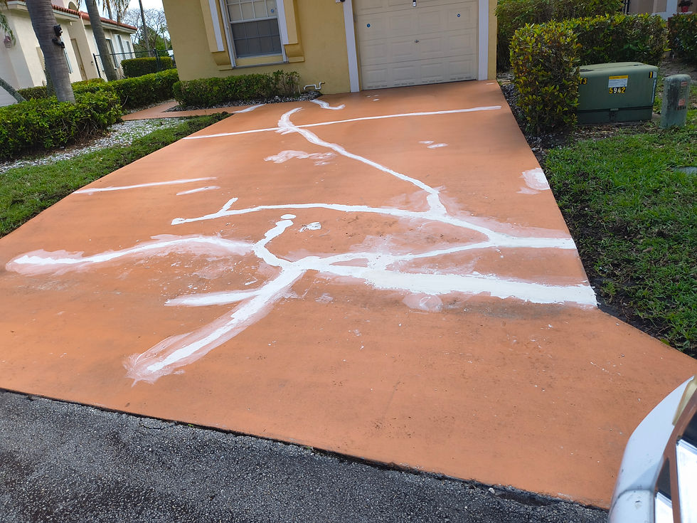 coconut-creek-LOCAL-INTERIOR-EXTERIOR-PAINTING-DRYWALL-REPAIRS-CONCRETE-REPAIRS-PRESSURE-C
