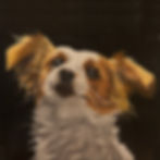 Thumbnail: CUSTOM PET PORTRAIT 12" x 12"