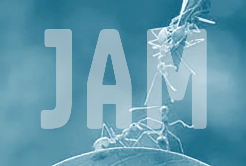 JAM_ARCHICLIMAT.png