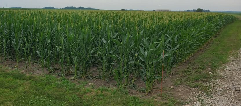 300 Acres Test Plot_edited.png