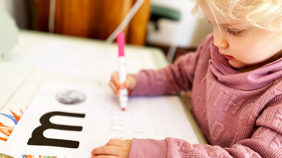 Homeschool preschool curriculum