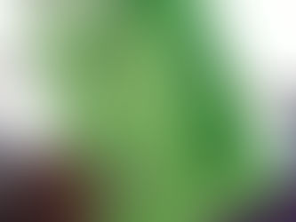 Picture of the book The Giving Tree