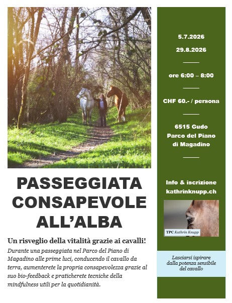 Passeggiata_alba26.jpg
