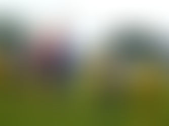 Zo suterénu na vrchol