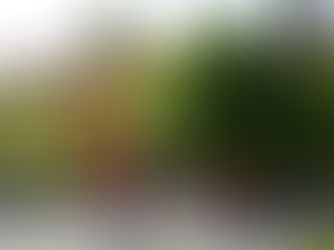 Výber z ostatného čísla ĽN