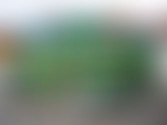 Výber z ostatného čísla ĽN