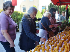 Výber z ostatného čísla ĽN