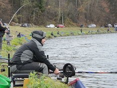 Špecifické preteky o jalcovi