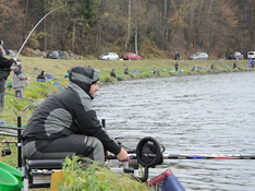 Špecifické preteky o jalcovi