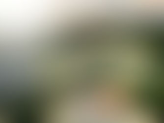 Výber z ostatného čísla ĽN