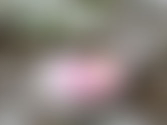 Výber z ostatného čísla ĽN