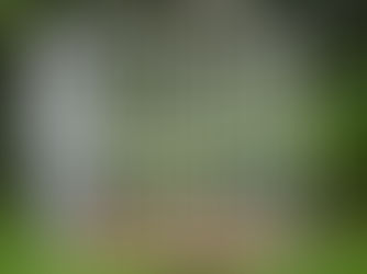 Opusteným psíkom sa opäť zlepšili podmienky