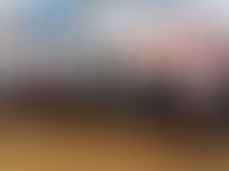 Poľana sa dostala do veľkého finále televíznej show