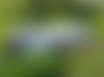 Autobus sa prevrátil na strechu