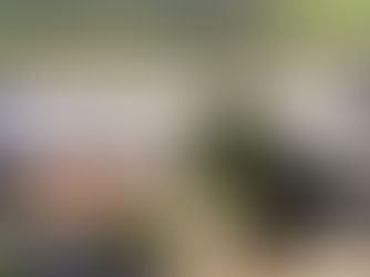 Výber z ostatného čísla ĽN