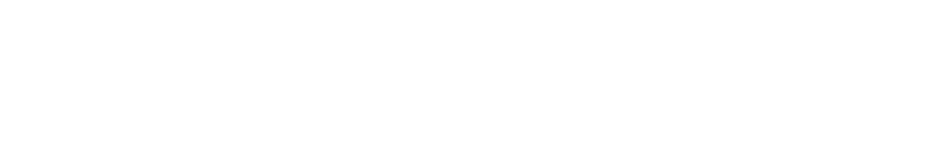 FLVA - White.png