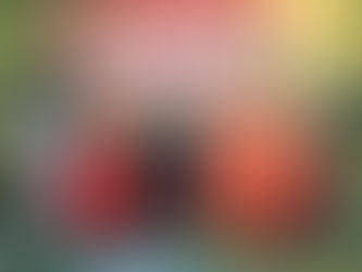 上海协会举办宝多丽肖化区春节联欢