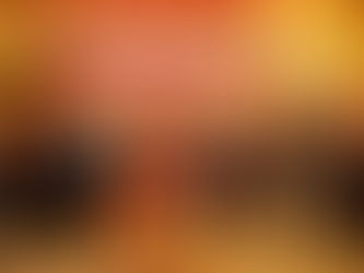 寶多麗區新春慶會內容豐富多姿多彩