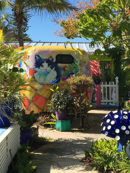photography, gail crook, pine island treat, painting, cat, garden art, plants, blue, yellow, orange