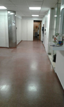 Remodelación Acceso del personal