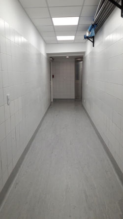 Remodelación Acceso del personal