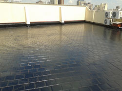 Colocación de Membrana