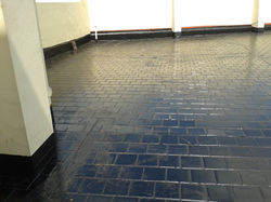 Colocación de Membrana