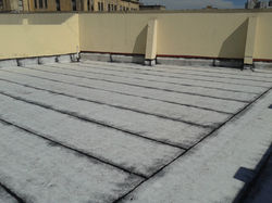 Colocación de Membrana