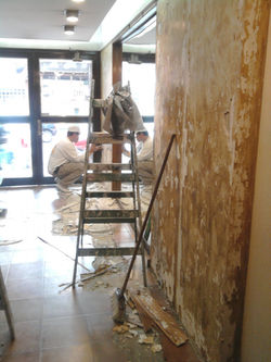 Diseño Hall de Entrada