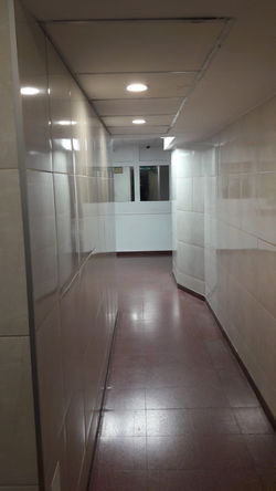 Remodelación Acceso del personal