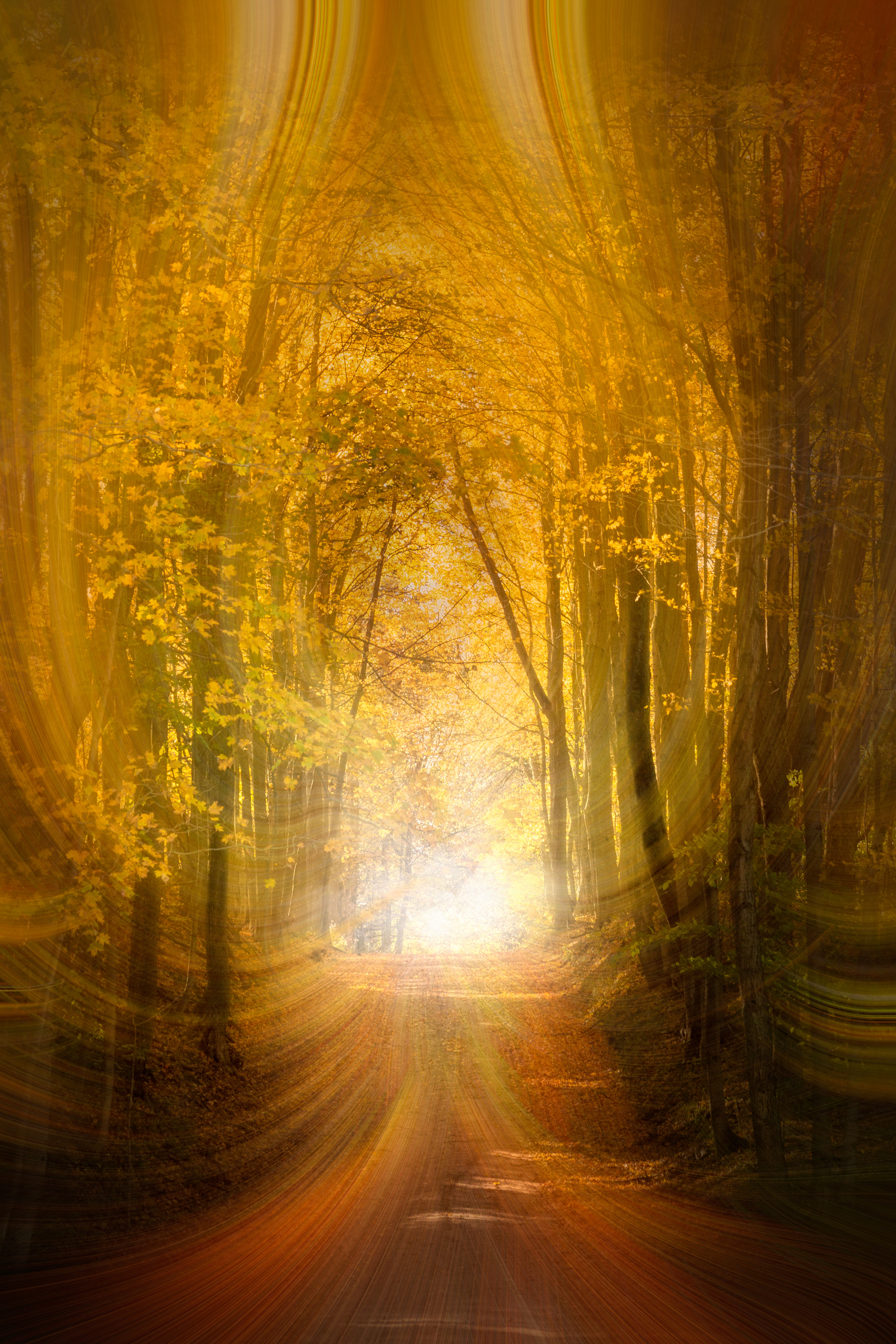 Brushed aluminum photograph Magical Approach of Fall