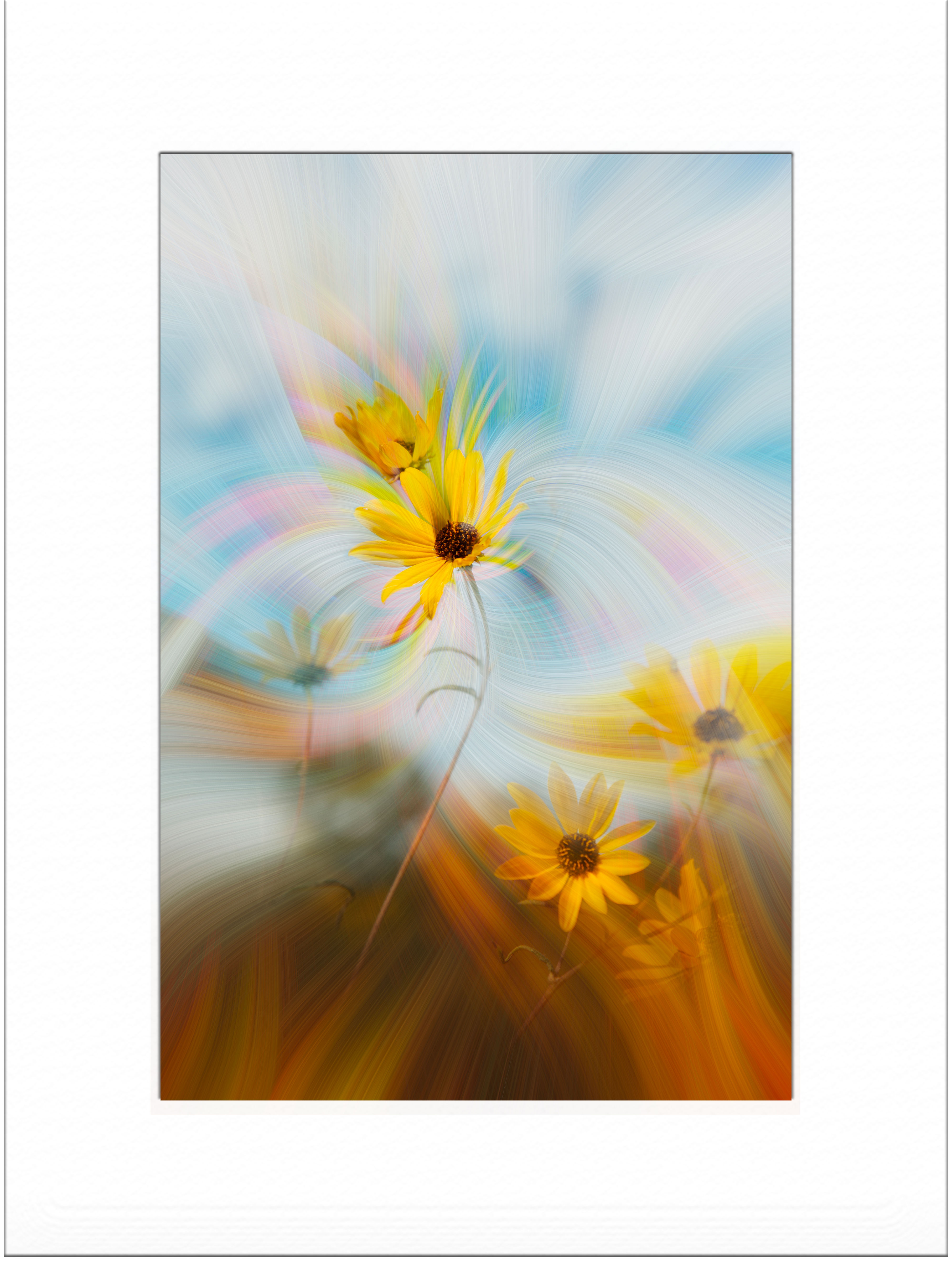 Dancing in the Sun Matted print unframed
