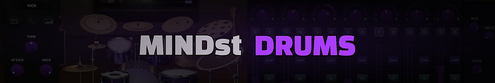 MINDstBanner.jpg