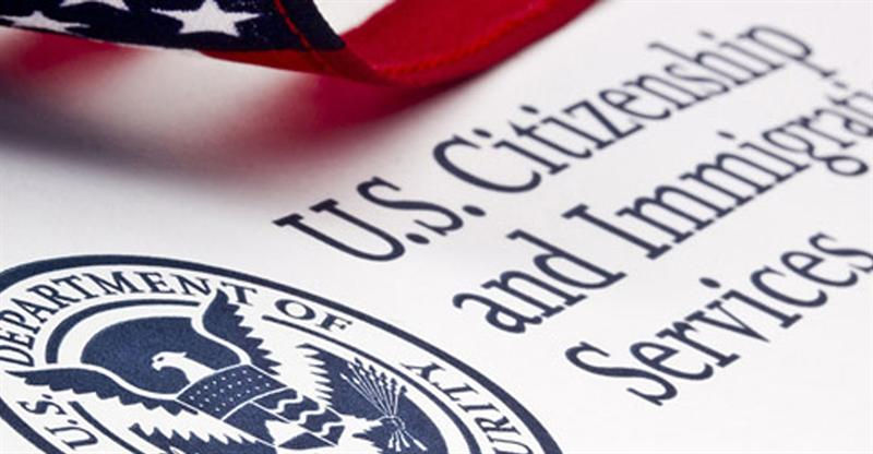 Immigration & The Law