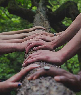 Des mains posées sur un tronc d'arbre pour souligner le soutien humain