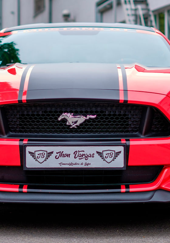 mustang-2338350.jpg