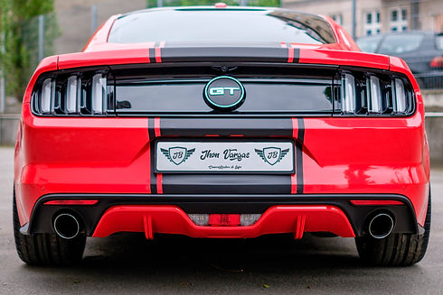 mustang-2338390.jpg