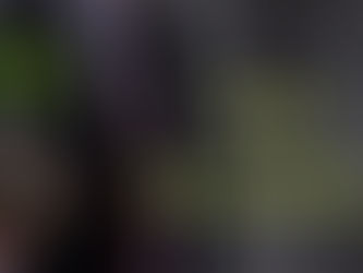 Crises-Proof Investments: Securing Your Portfolio