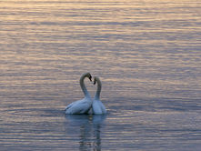 When Does Love Divide?