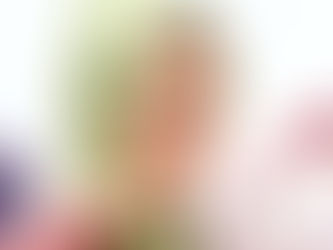 A New Zealander Continues to Reflect