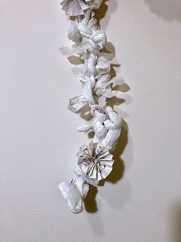 83321DA4-976D-4D74-B4C0-1D130FF43200_1_2