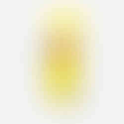 Embalagem Staleks Pro Uniq Combo com lâmina reta