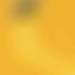 Verniz Gel Inocos Maria Bifana