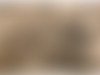 24 de abril: "Turquía fue el primero en reconocer el genocidio armenio"