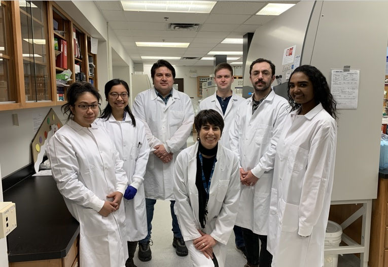 TEAM ARE LAB