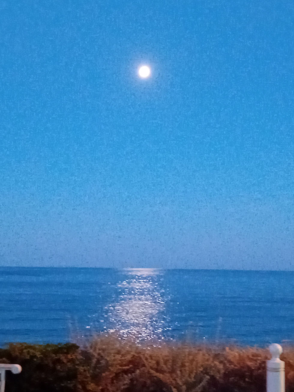 20240624_052755.jpg