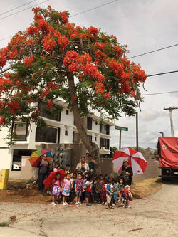 13335787_470850413108784_4667215762280327690_n