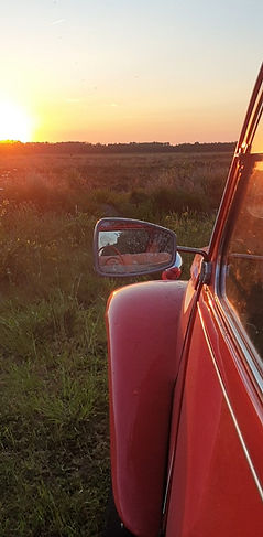 Screenshot_20240625-213405_Gallery_edite