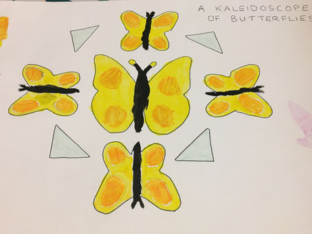 A Kaleidoscope of Butterflies