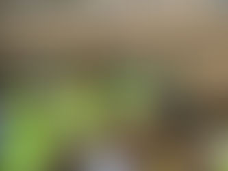 Year 5 Visit Woolacombe